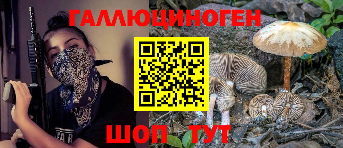 Псилоцибиновые грибы ЛСД  Галлюциногенные грибы Cubensis  Саянск  Вход с VPN 