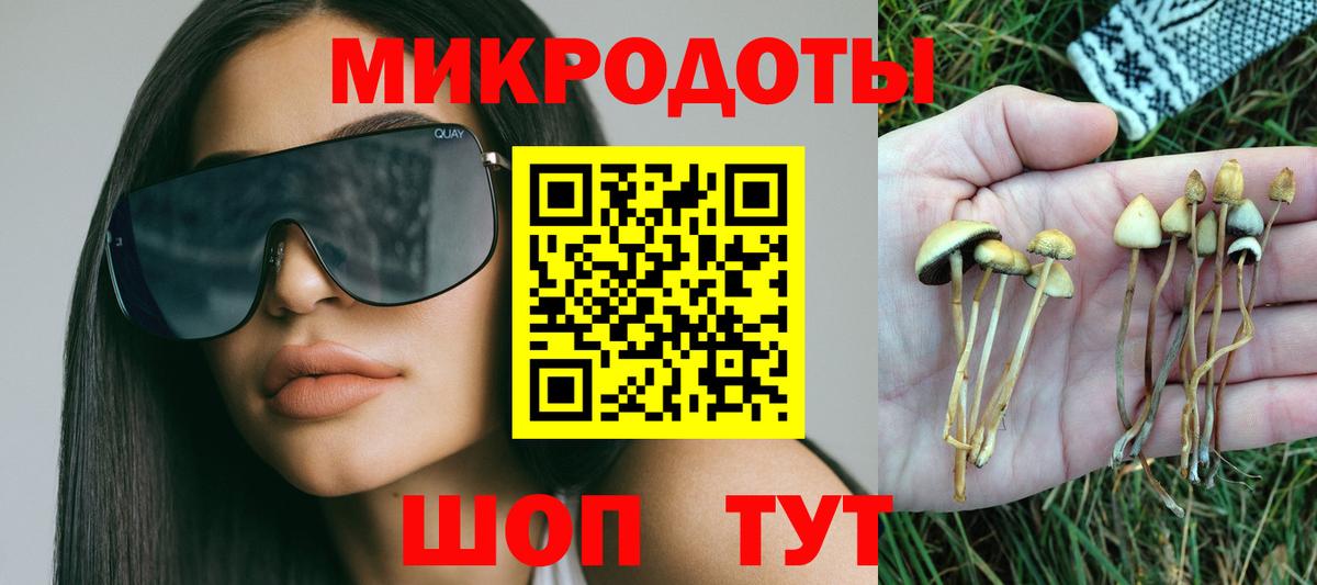 Псилоцибиновые грибы GOLDEN TEACHER Саянск